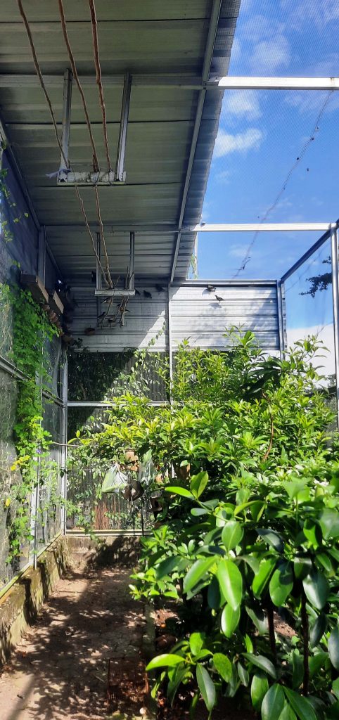 Taman Aviari MIN 1 Bangka